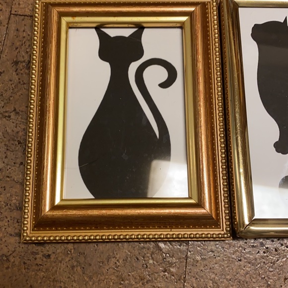 Cat Pictures - Picture 3 of 7